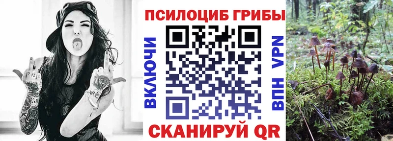 Псилоцибиновые грибы прущие грибы  Гатчина 